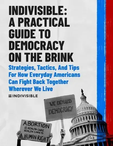 Indivisible: A Practical Guide to Democracy on the Brink
